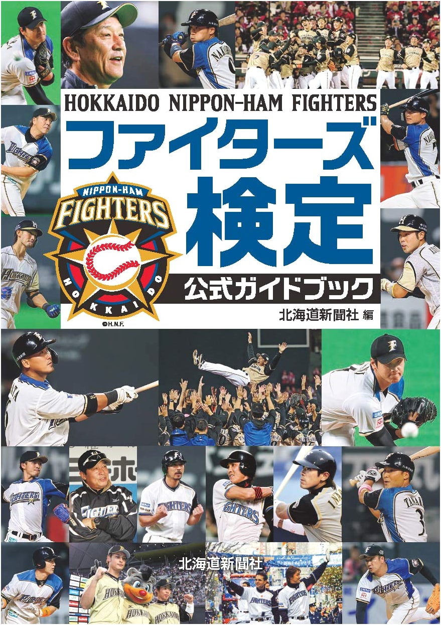Fighters Kentei Official Guidebook
