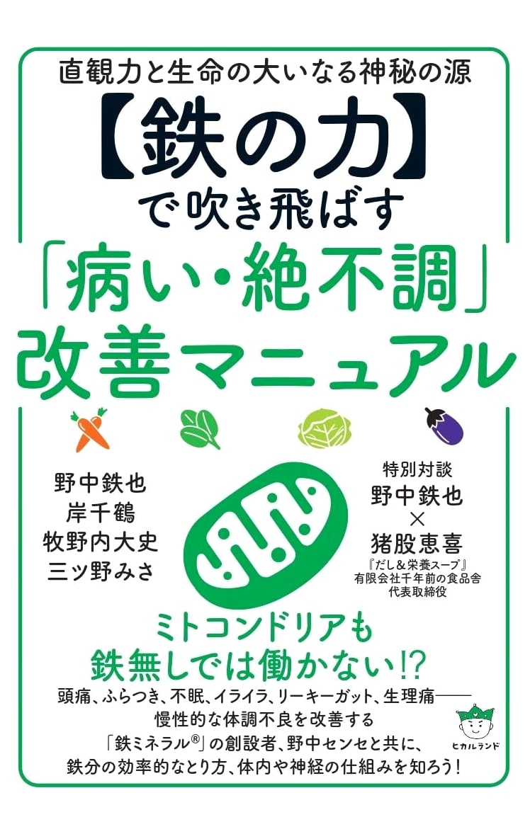 The Power of Iron: A Manual for Overcoming Illness and Poor Health by Tetsuya Nonaka