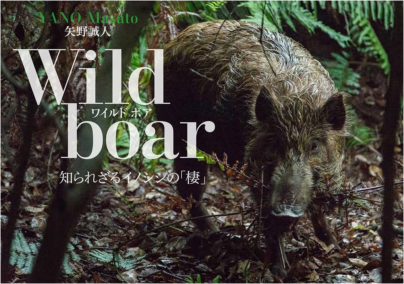 Wild Boar: The Unknown Habitat of the Inoshishi
