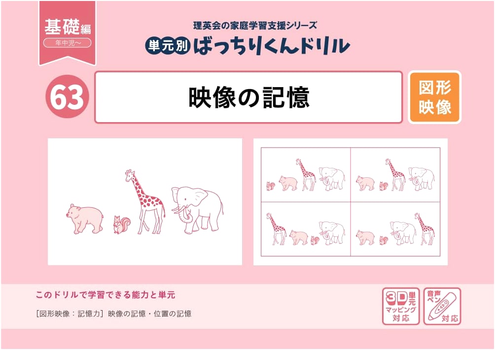 Batchiri-kun Drills: Visual Memory (Basic Edition) - Topic 63 Practice