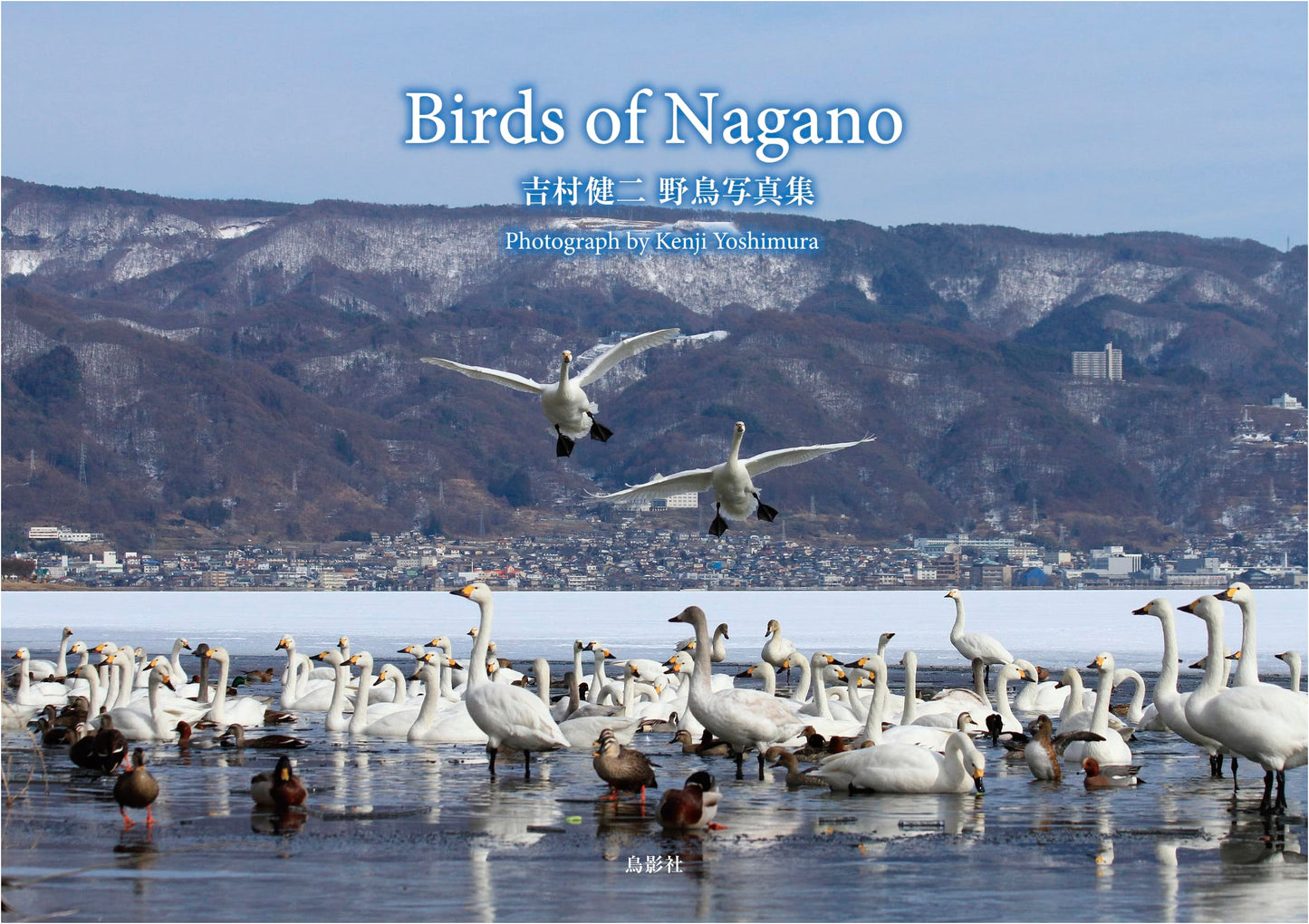 Birds of Nagano: Kenji Yoshimura Wild Bird Photography Collection