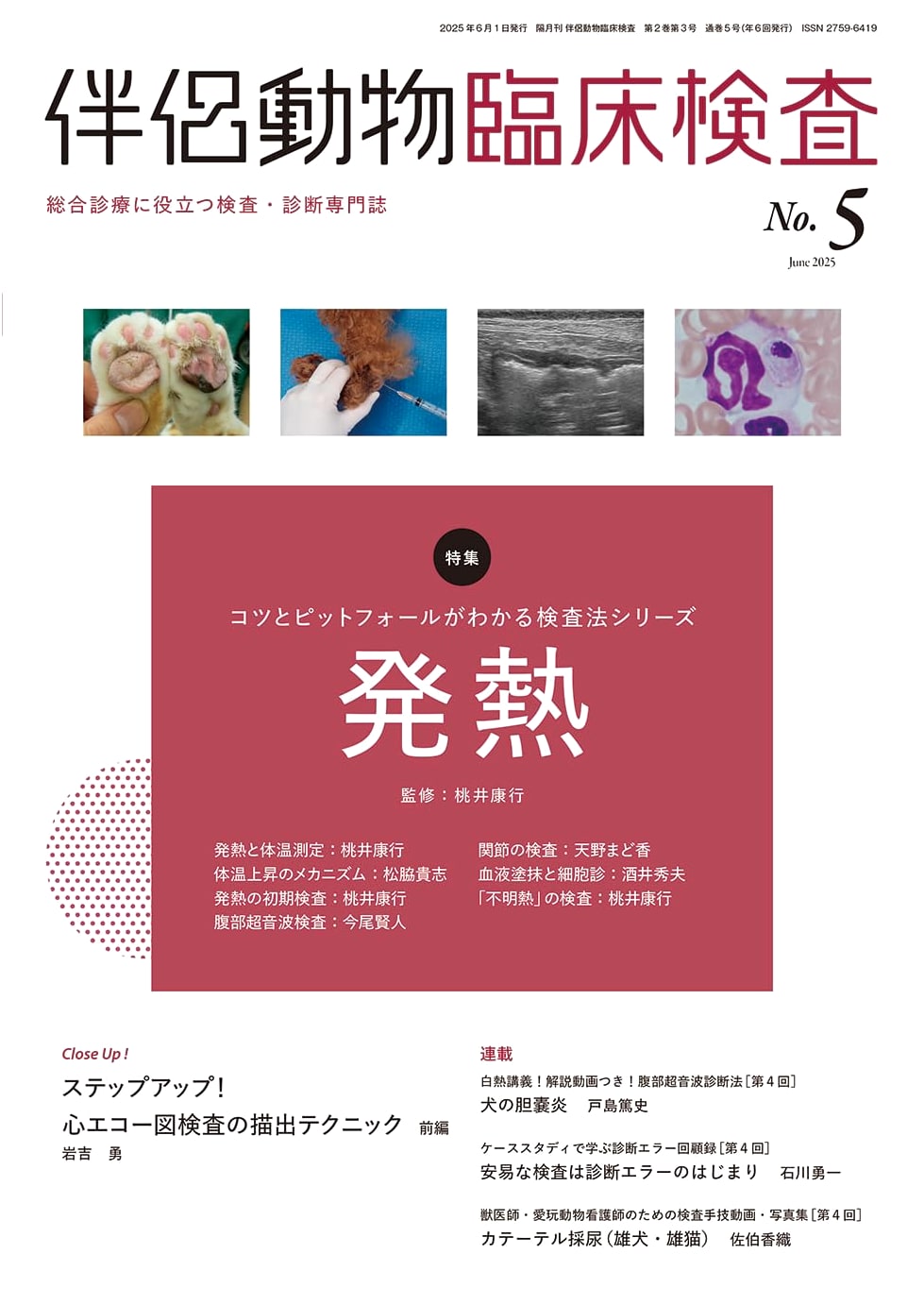 Companion Animal Clinical Examination No. 5: Fever - Pitfalls & Keys to Effective Testing