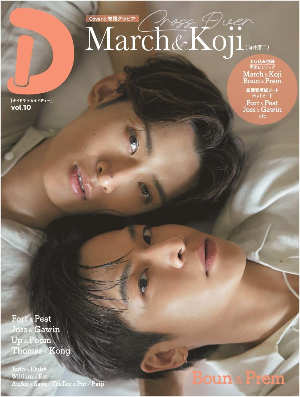 Thai Drama Guide D Vol. 10 (TV Guide Mook)