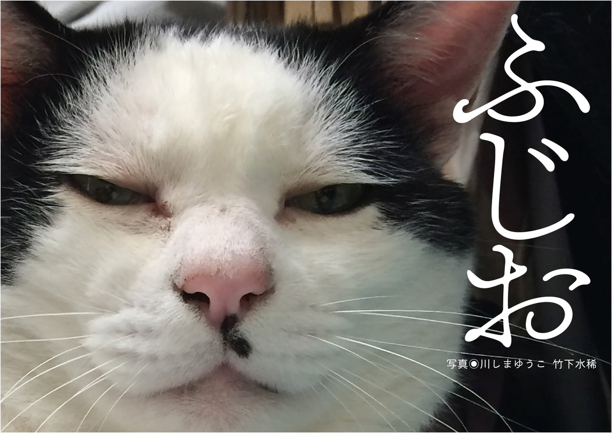 Fujio: An Unknown Tale from Arimine Shoten Shinsha