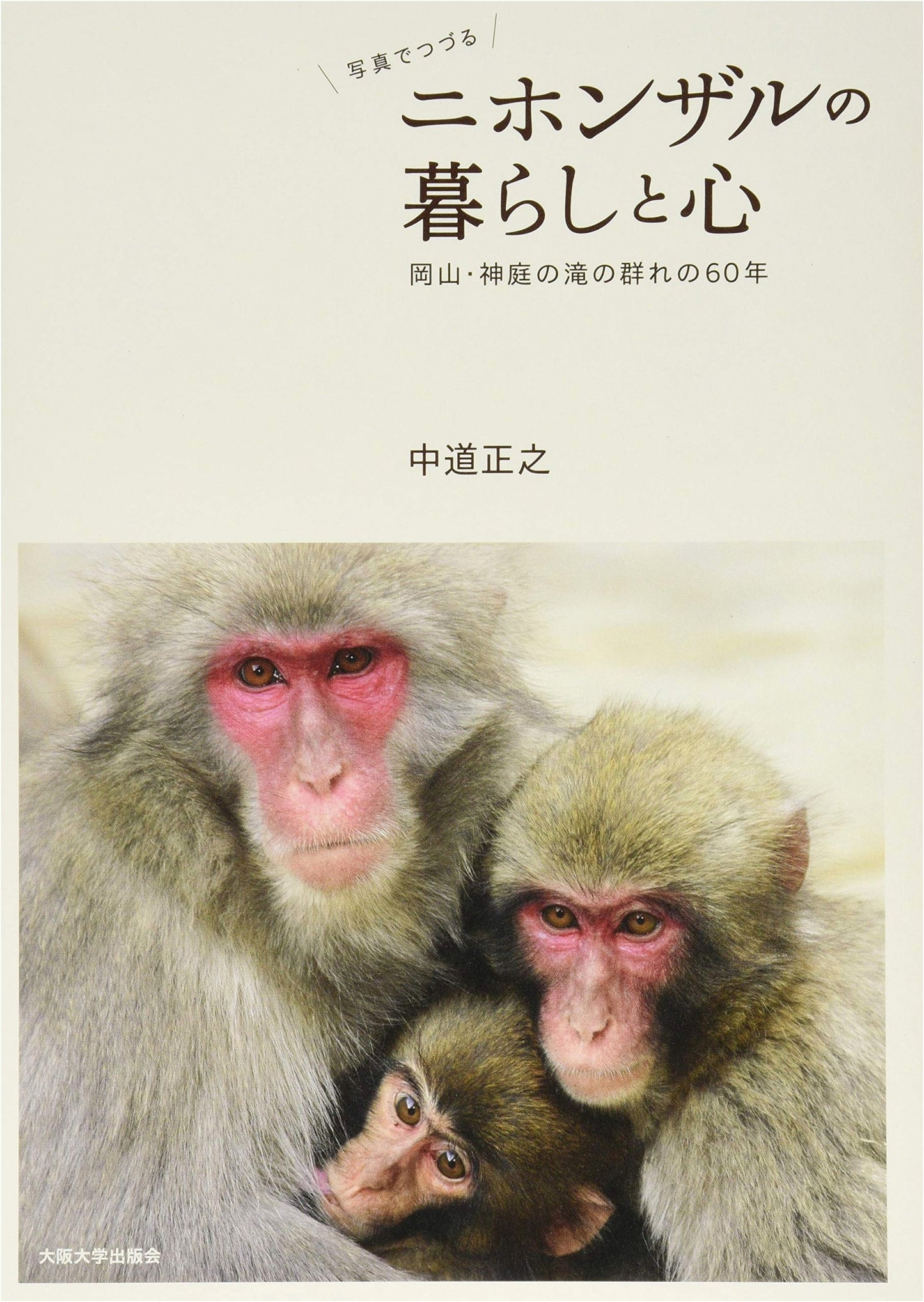 Japanese Macaques: 60 Years of Life and Mind at Kambanotaki Waterfall, Okayama by Masayuki Nakamichi