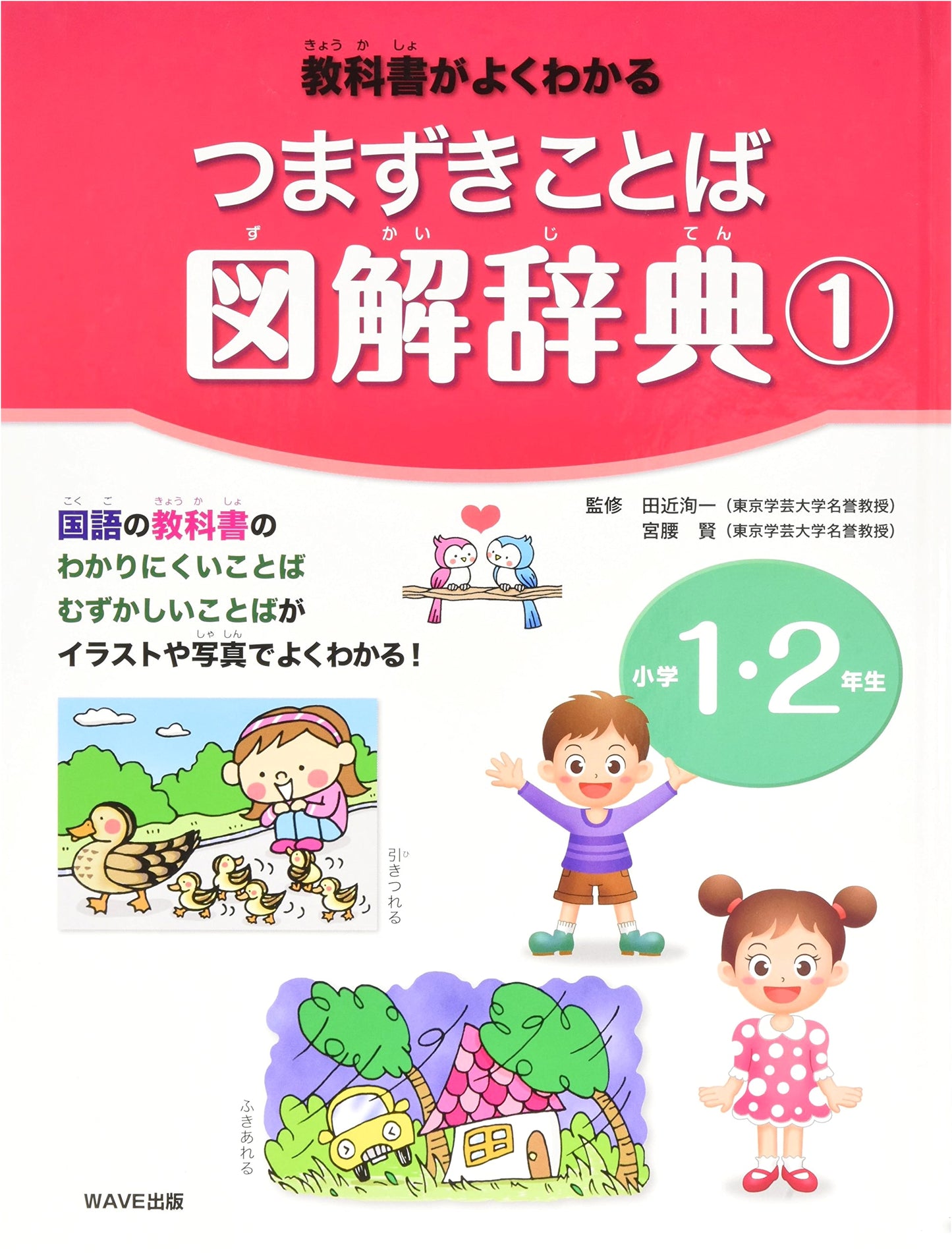 Illustrated Dictionary of Tricky Words for Grades 1 & 2: Understanding Textbooks Better