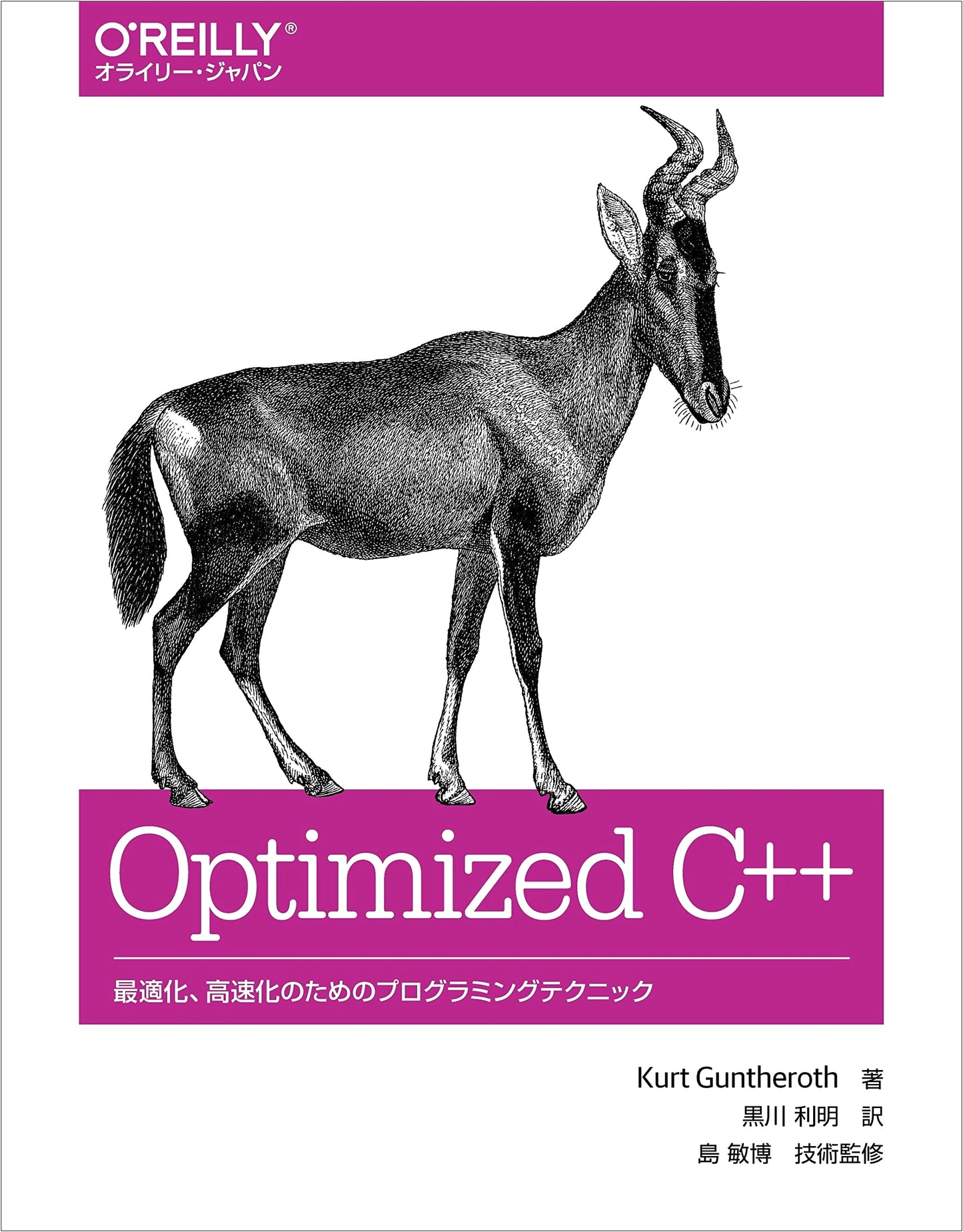 Optimized C++: Programming Techniques for Optimization and Speedup