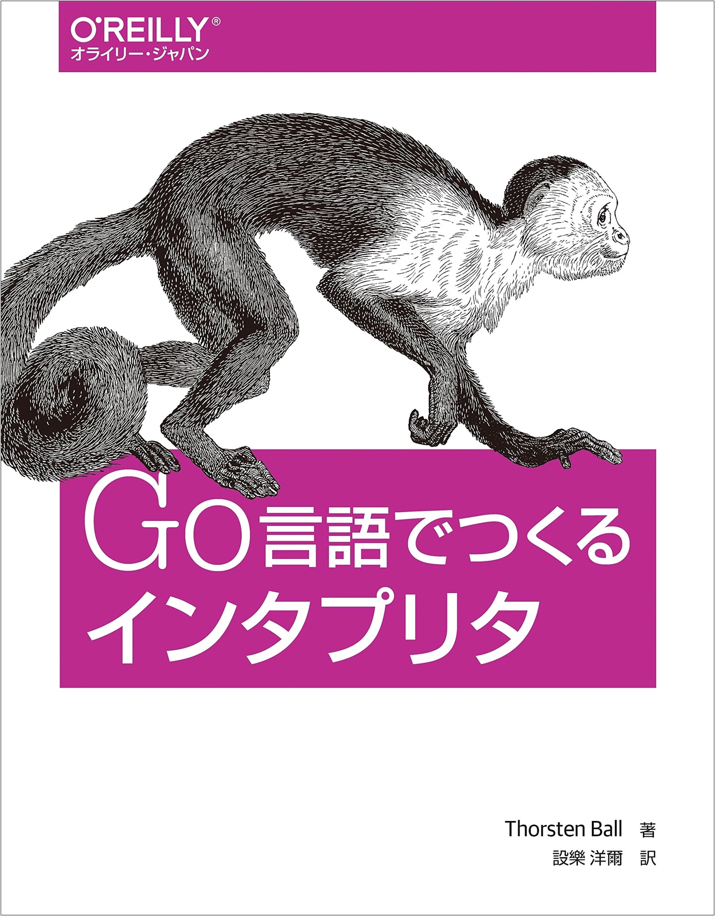 Building an Interpreter with Go Language