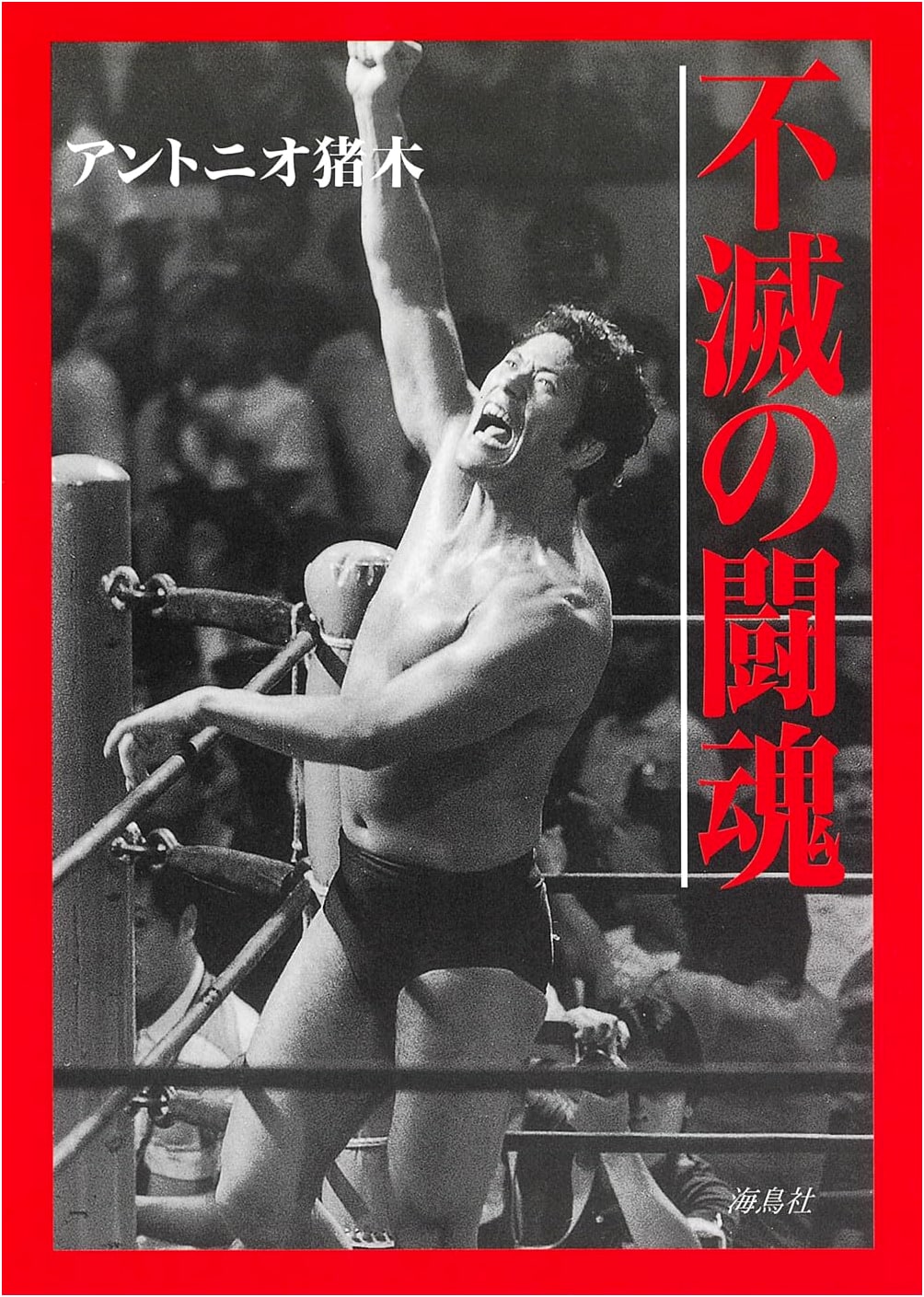 Immortal Fighting Spirit