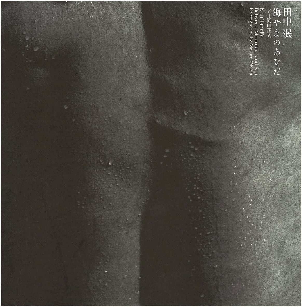 Min Tanaka: Between Mountain and Sea by Masato Okada