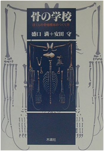 School of Bones: How We Make Our Skeletal Specimens