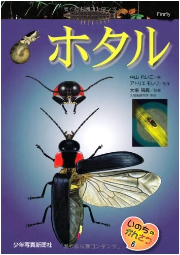 Fireflies: Observing Life (Inochi no Kansatsu Series)