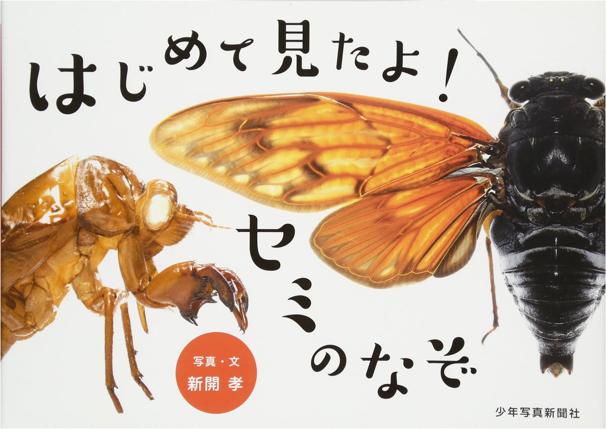 I Saw It For The First Time! The Mystery of the Cicada