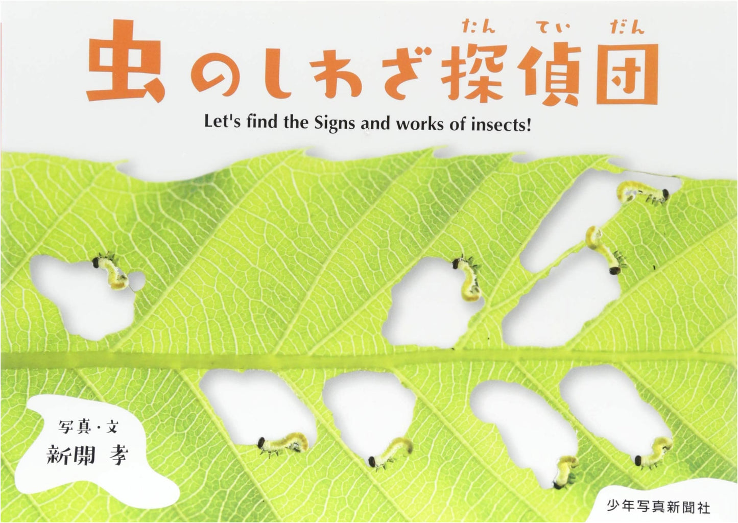 The Bug's Mischief Detective Agency (Unknown Author)