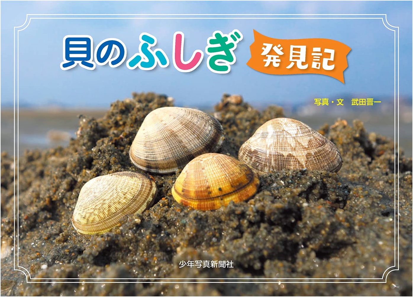 Exploring the Marvels of Seashells: A Photographic Children's Book