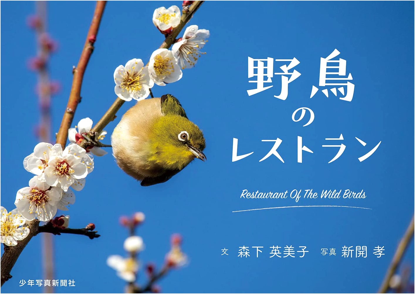 Wild Bird Restaurant (Children's Photo Picture Book)