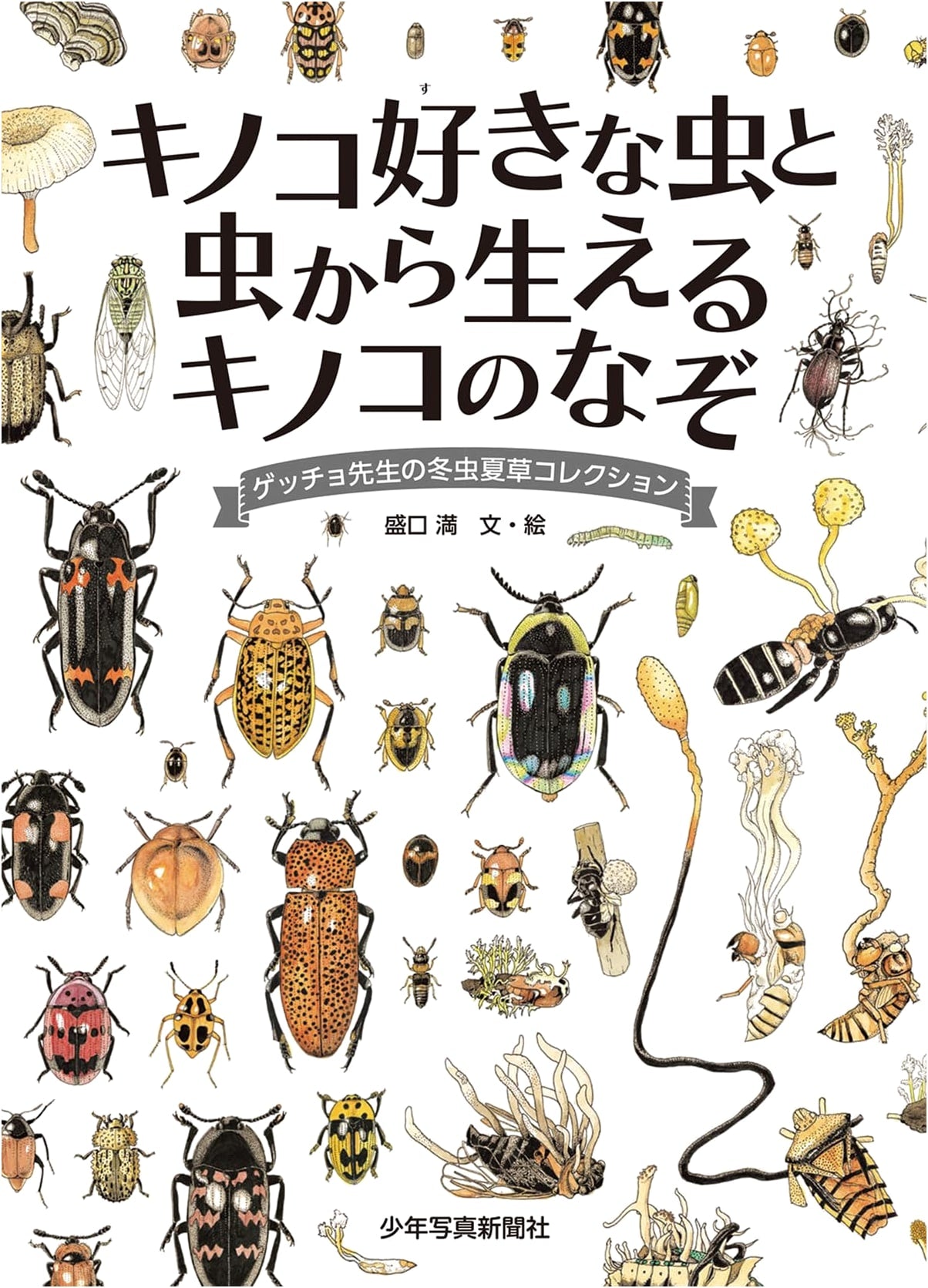 The Mystery of Fungi Loved by Insects & Cordyceps: Professor Geccho's Collection