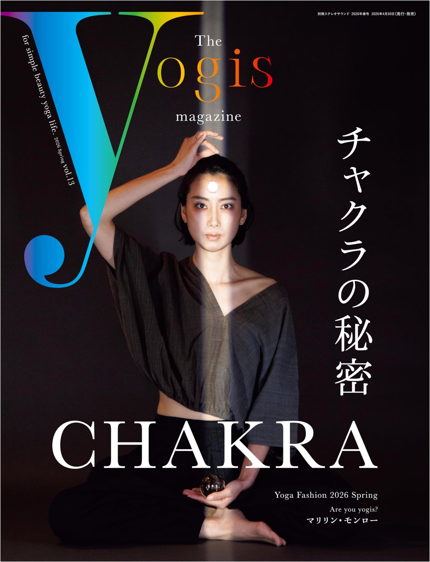 The Yogis Magazine Vol. 13 (Stereo Sound Supplement)