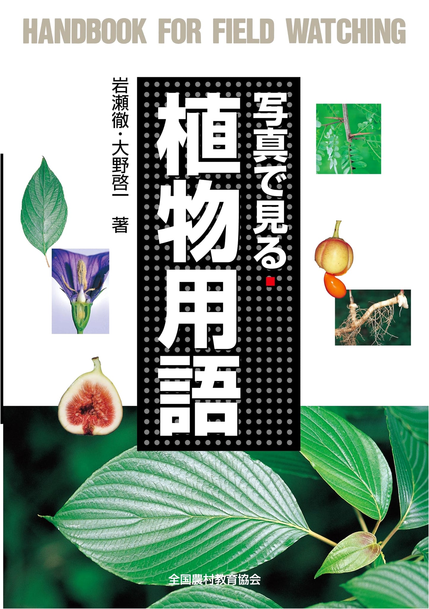 Illustrated Plant Glossary: A Field Observation Handbook