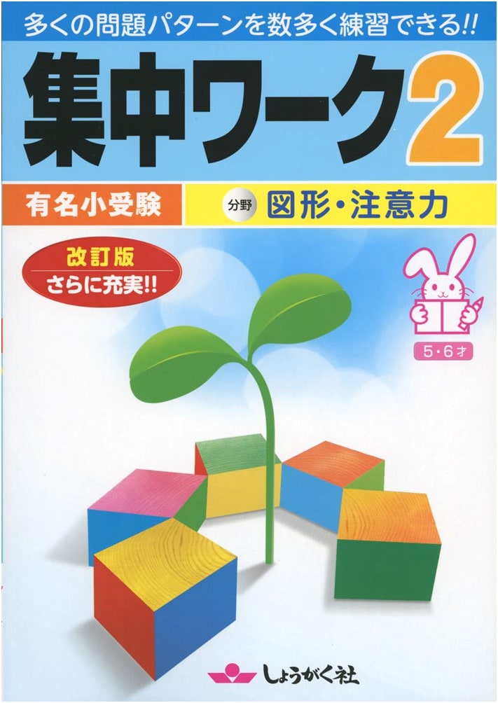 Focus Workbooks: Elite Elementary School Entrance Exam Prep, Vol. 2