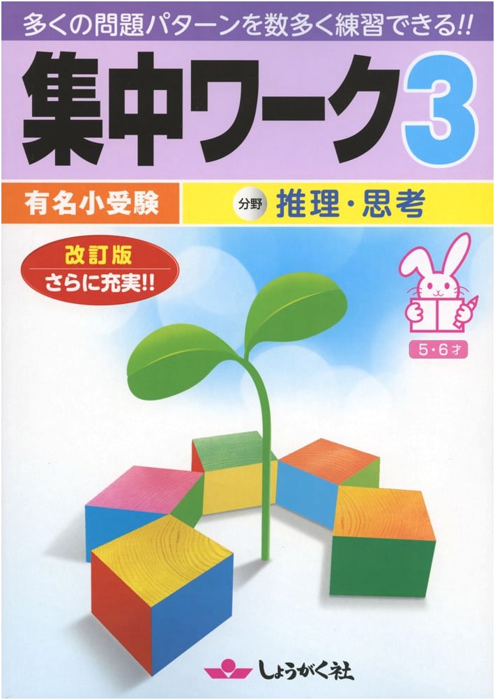 Intensive Workbook: Famous Elementary School Entrance Exam (Vol. 3)
