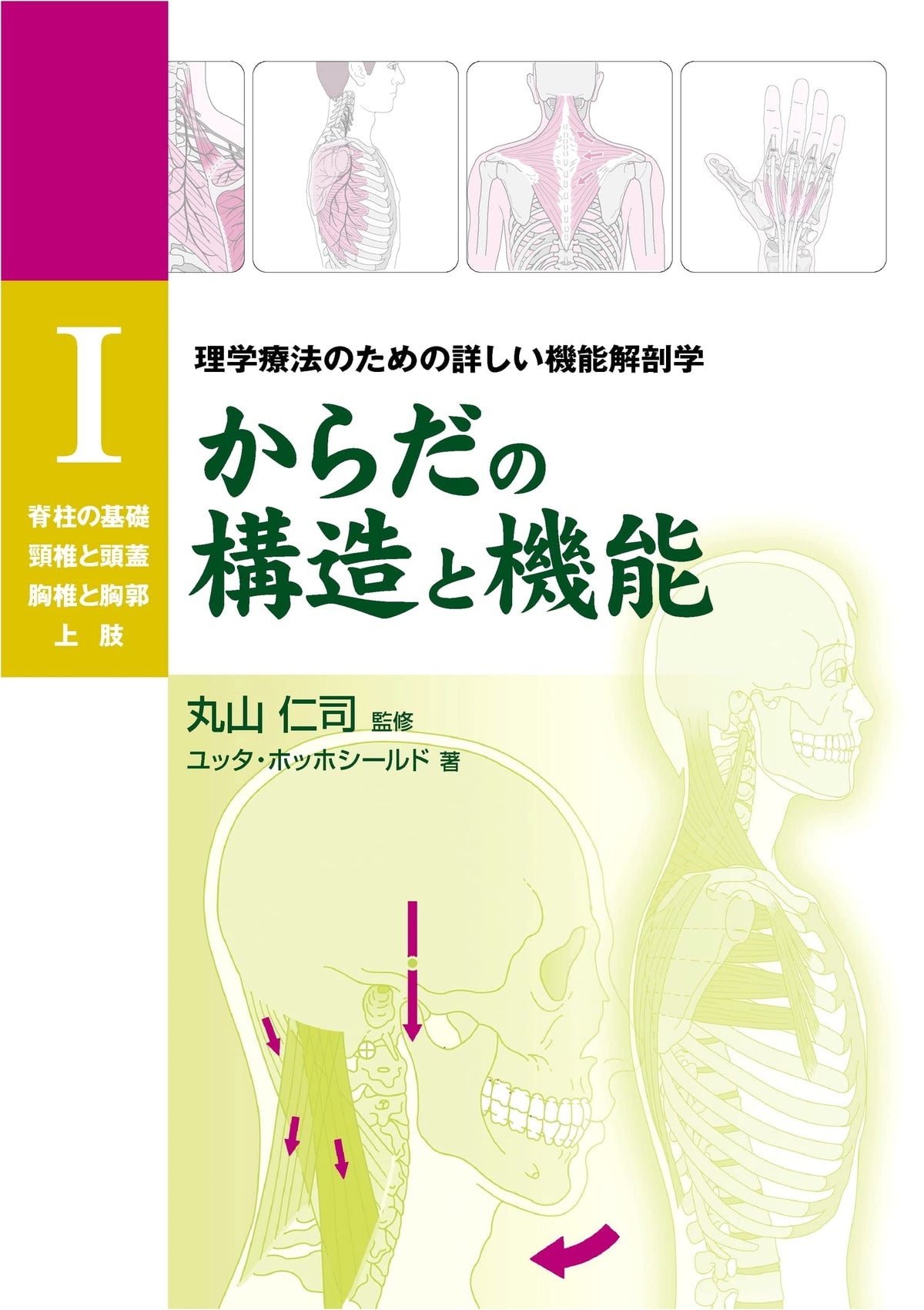 Structure and Function of the Human Body I (Spine, Neck, Thorax, Upper Limbs)