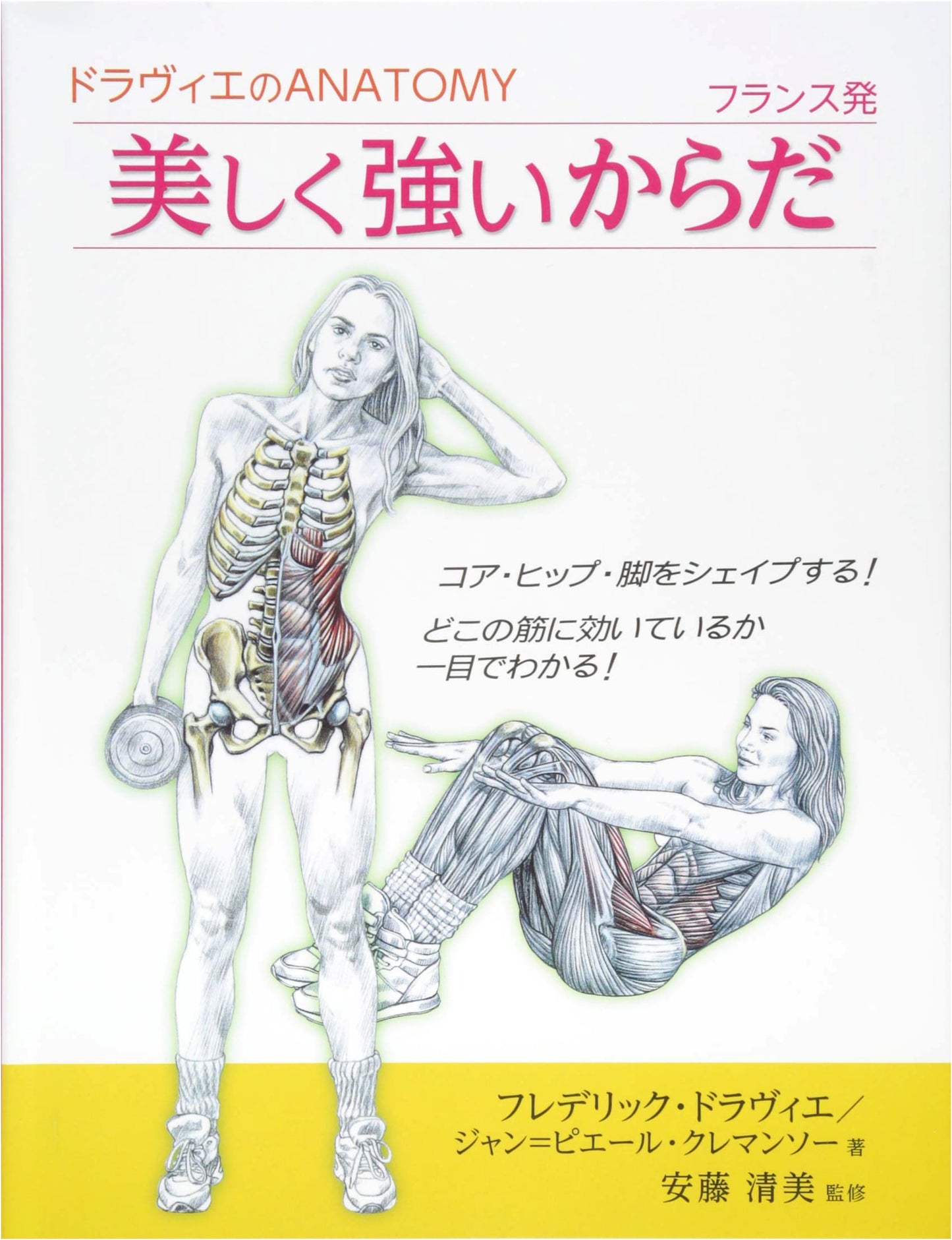 Delavier's Anatomy: Shape Core, Hips & Legs - Visual Muscle Targeting!