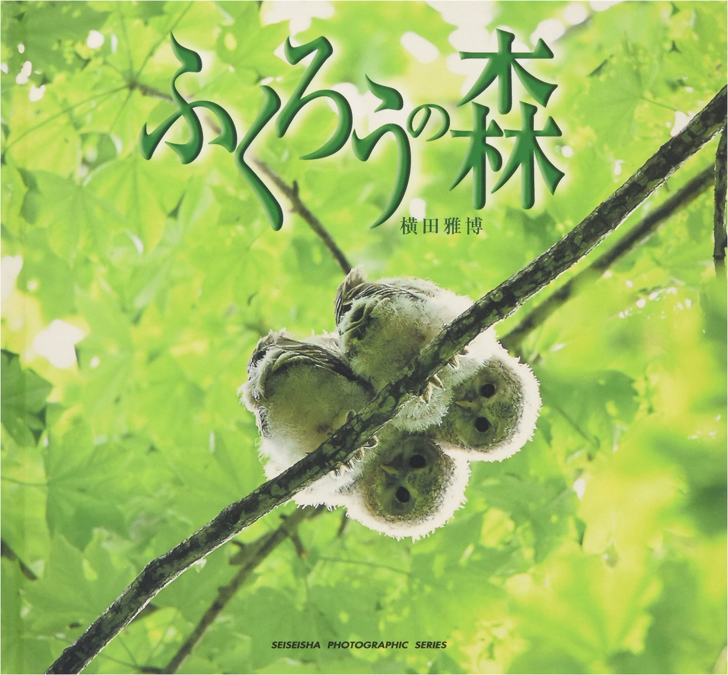 Owl Forest: Photographs by Masahiro Yokota