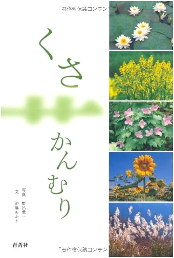 Kusa Kanmuri: Plants by Akari Ikefuji