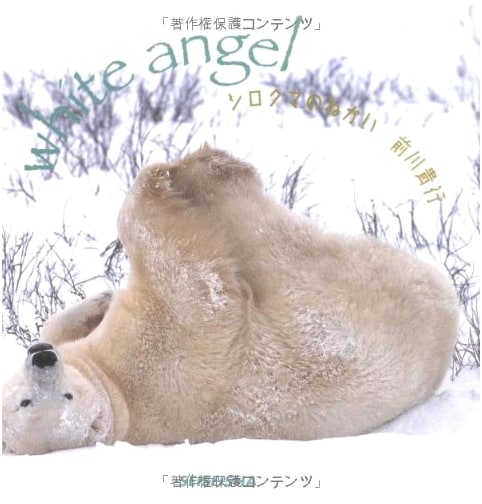 A Polar Bear's Wish by Maekawa Takayuki (Seiseisha Mini Book)