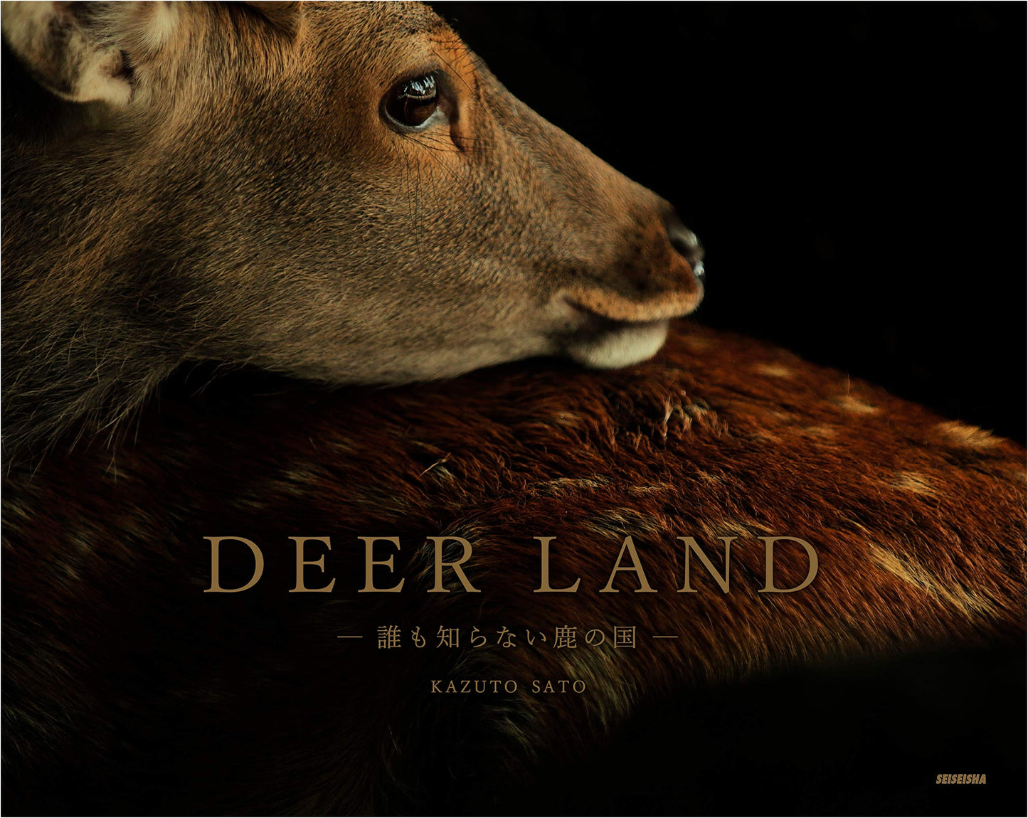 DEER LAND: The Unknown Realm of Deer by Kazuto Sato
