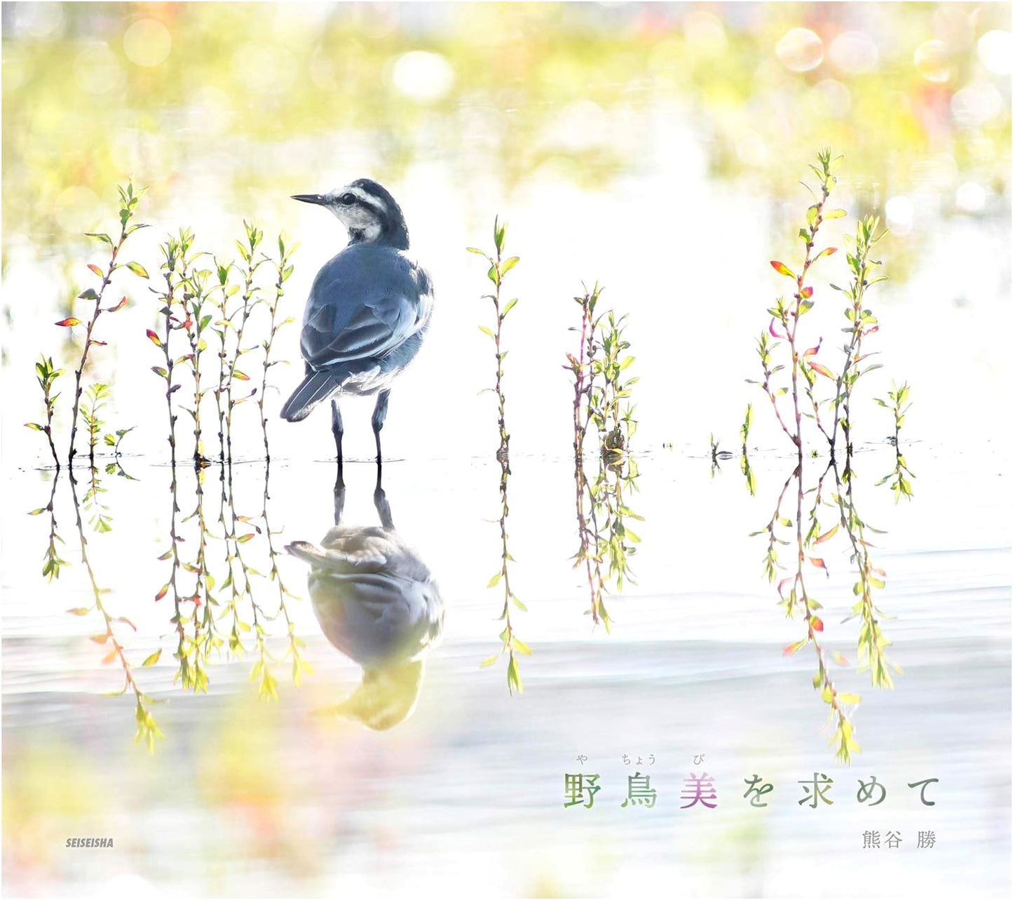 In Pursuit of Beautiful Wild Birds by Masaru Kumagai