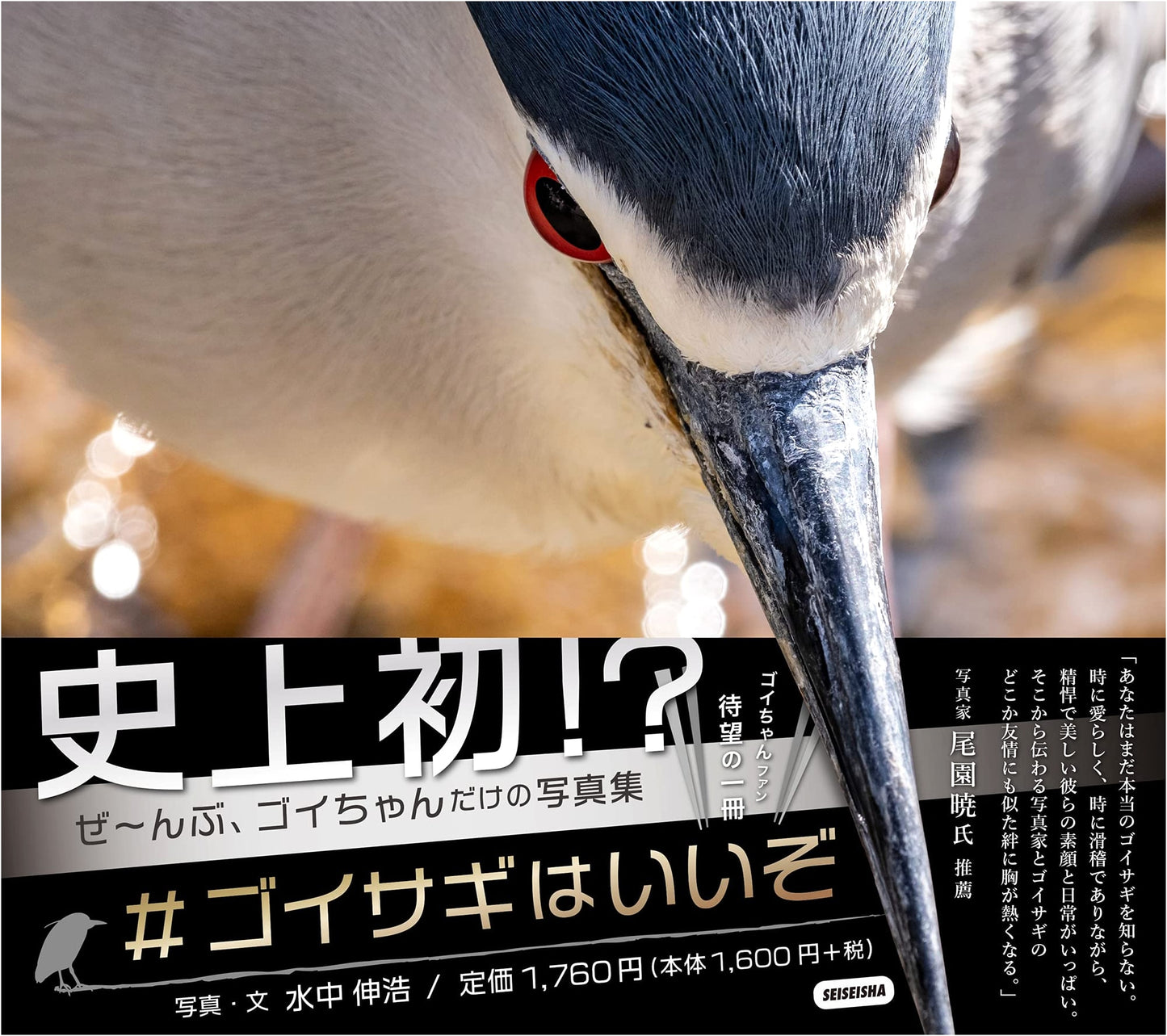 The Night Heron is Wonderful by Nobuhiro Mizunaka