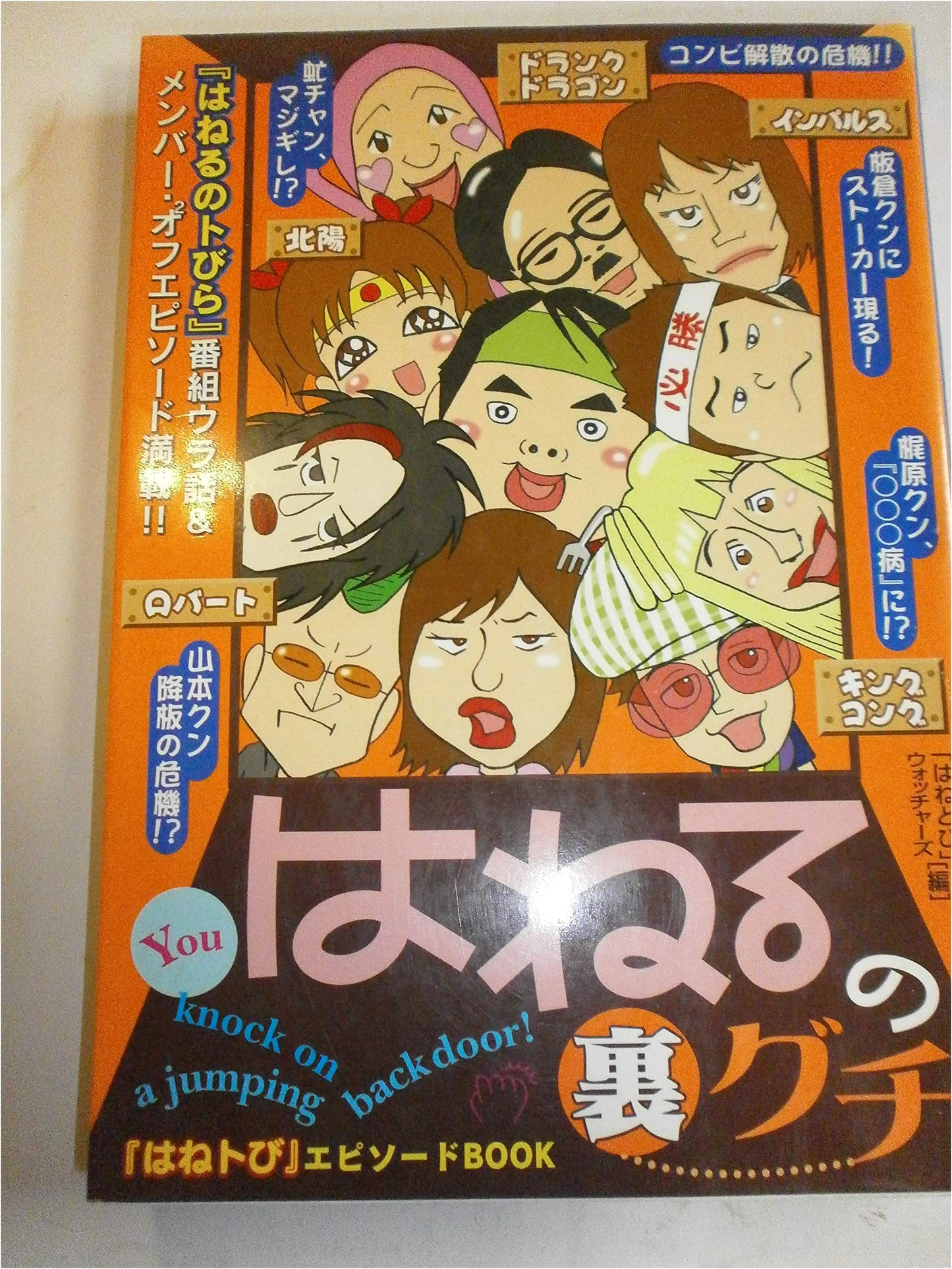 The Untold Secrets of Haneru no Tobira: Episode Book