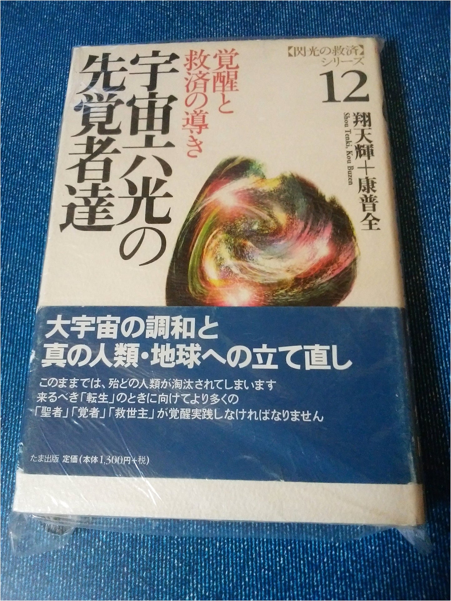 Flash of Salvation Series, Vol. 12