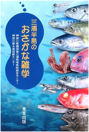 Miura Peninsula: Fascinating Fish Trivia