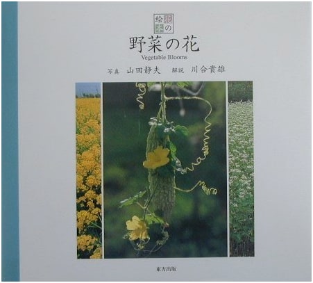 Vegetable Flowers: Picture Book of Flowers, Vol. 4 by Kawai Takao