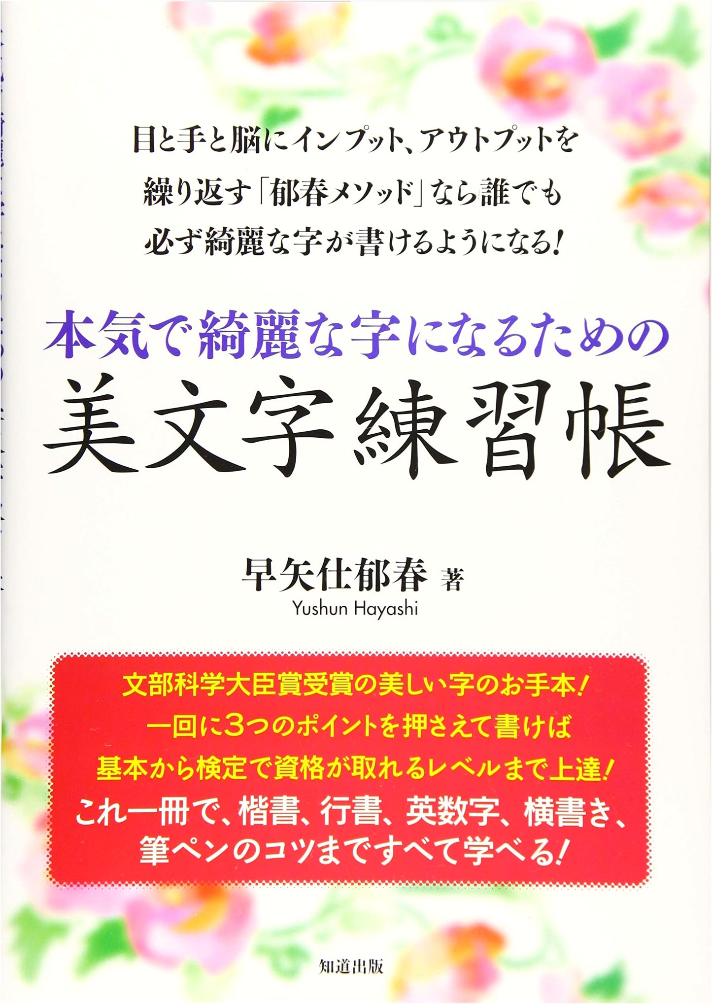 Serious Beautiful Writing Practice: Pen & Brush Pen Calligraphy by Ikuharu Hayayashi