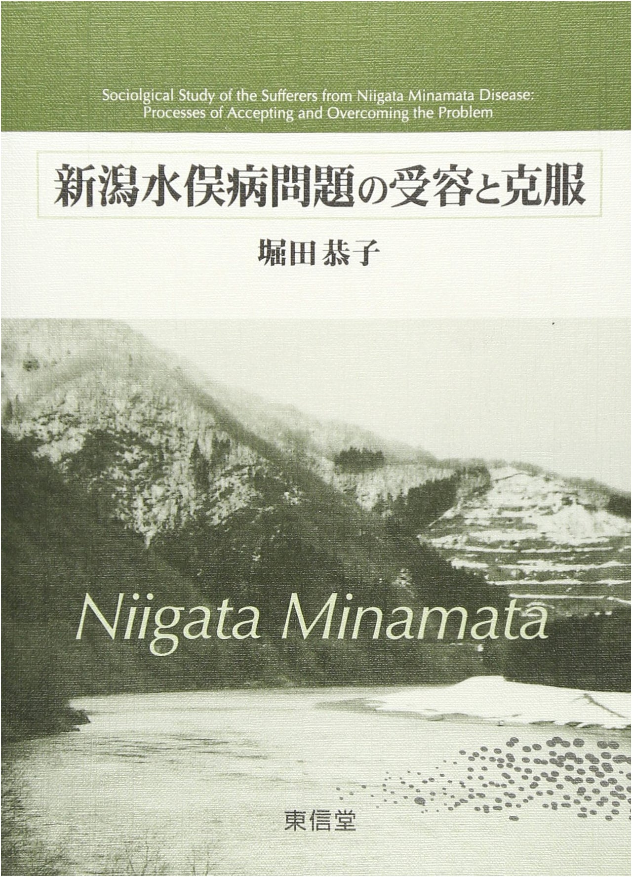 Acceptance and Resolution of the Niigata Minamata Disease Issue
