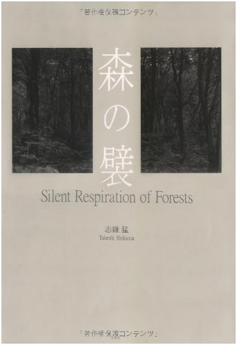 The Folds of the Forest by Takeshi Shikama