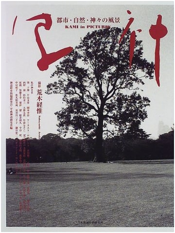 Photographic Visions: City, Nature, and Divine Landscapes