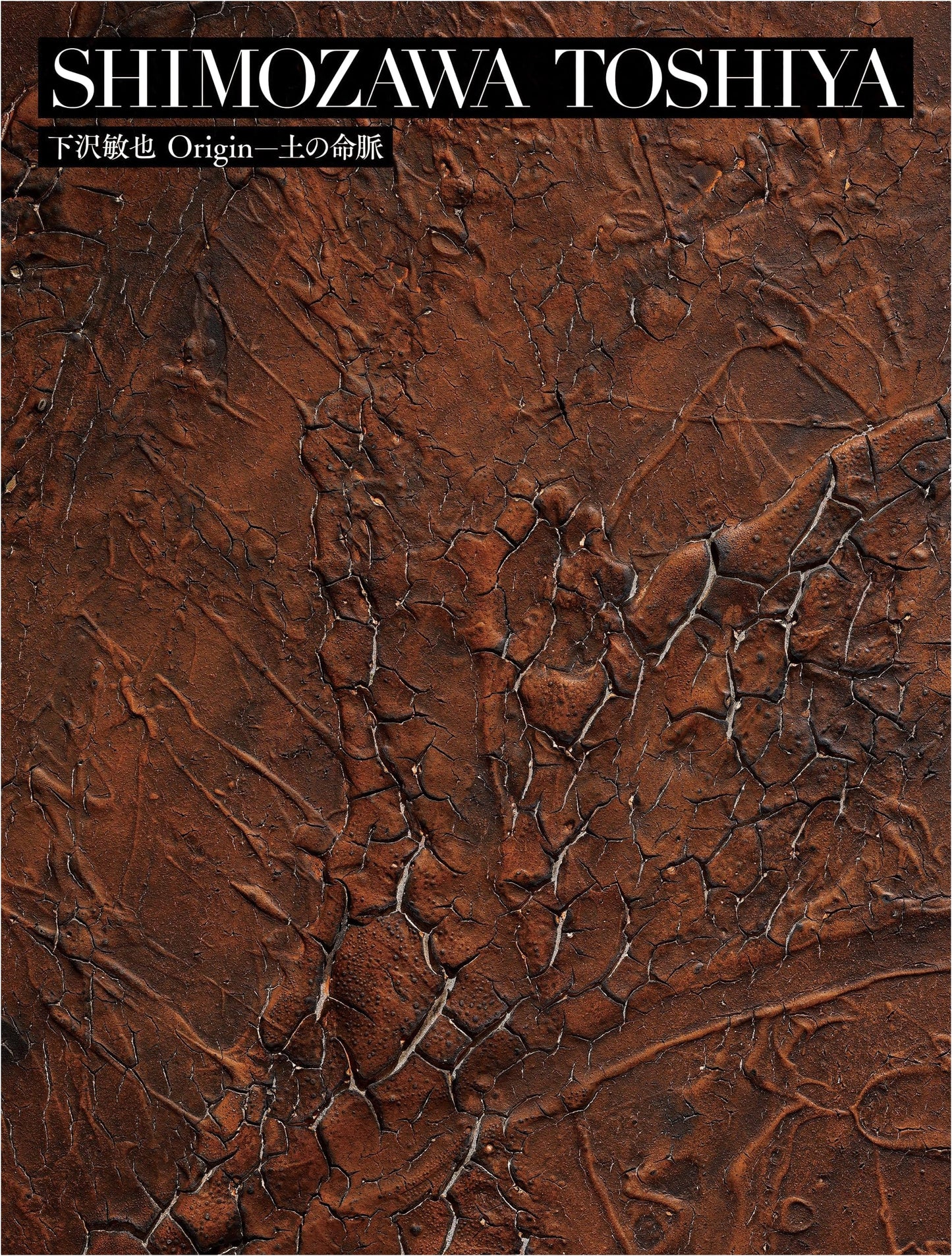 Sapporo Art Exhibition: Toshiya Shimozawa's Origin—Lifeblood of Earth Art Catalog