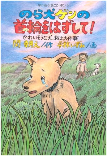 The Great Rescue of Stray Dog Gen: Taking Off His Collar!