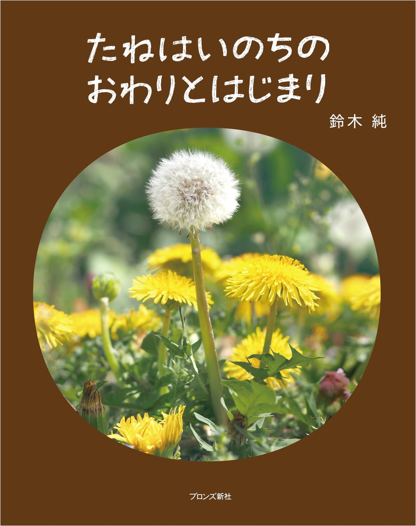 The Seed: The End and Beginning of Life's Cycle