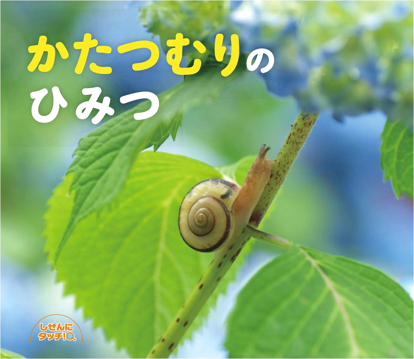The Secrets of Snails (Touch Nature! Series)