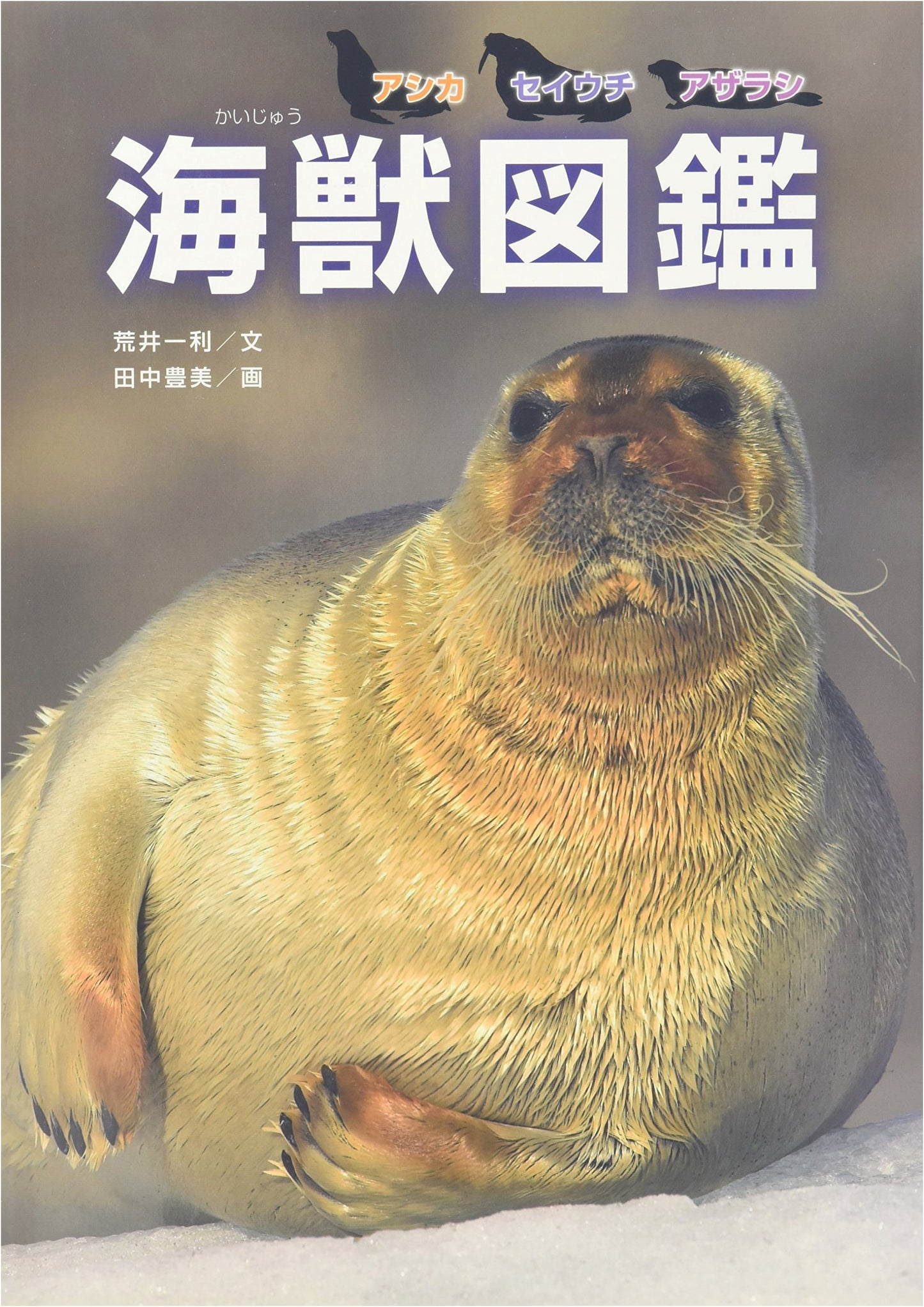 Illustrated Encyclopedia of Marine Mammals: Sea Lions, Walruses, Seals