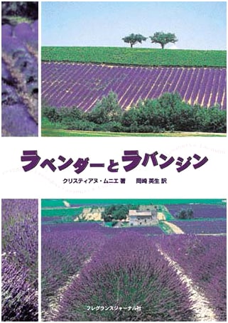 Lavender and Lavandin: An Essential Guide to These Aromatic Plants