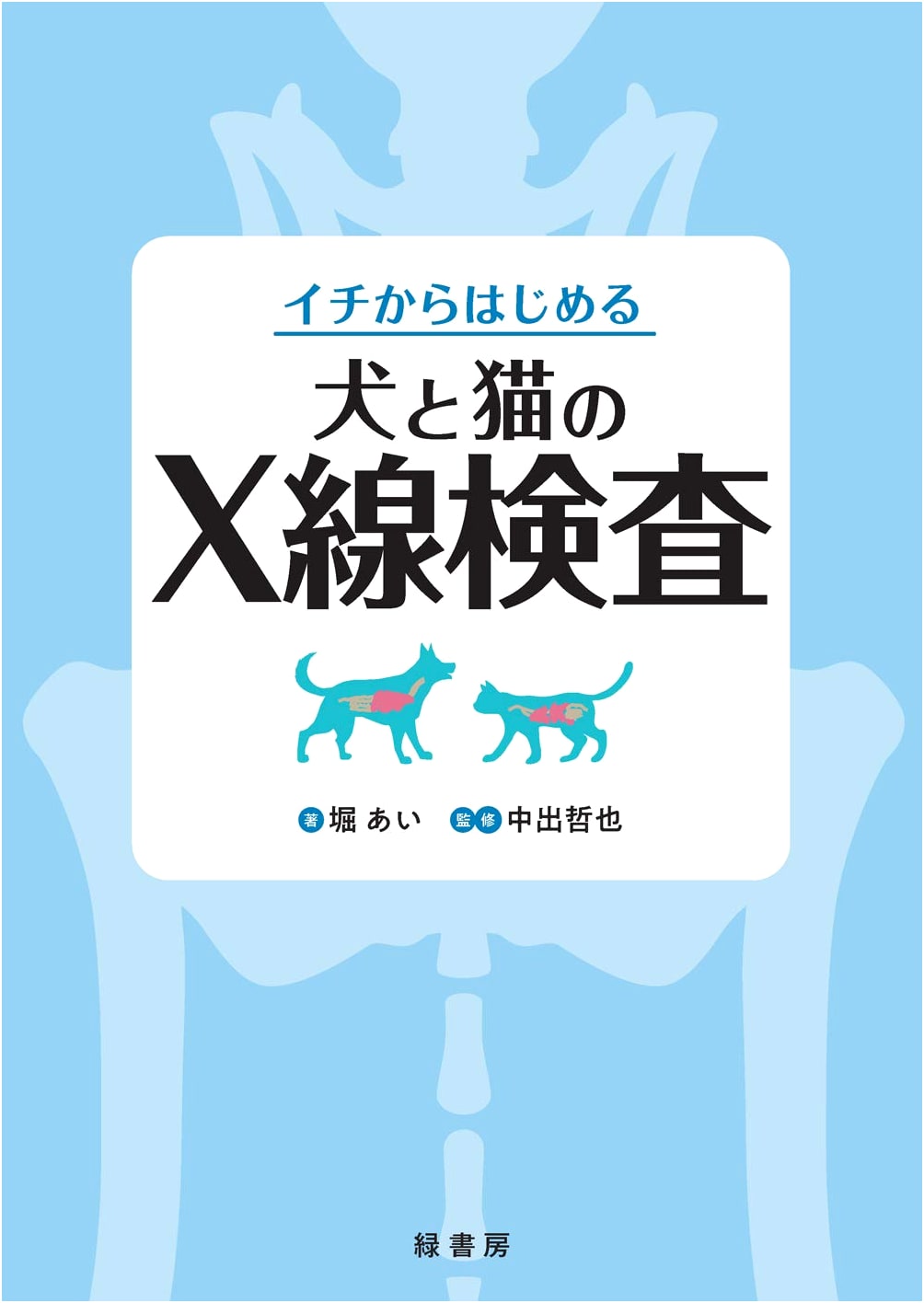 Starting from Scratch: X-Ray Examination for Dogs and Cats