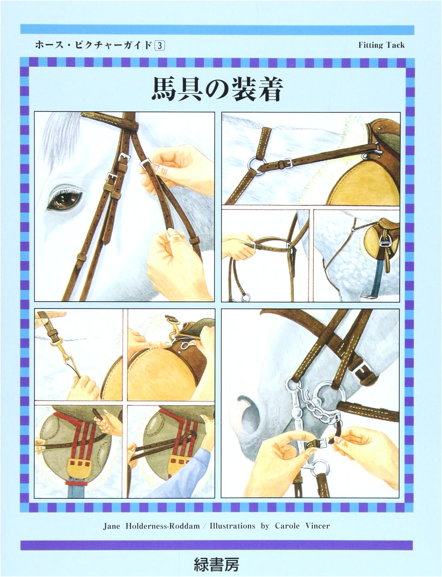 Fitting Horse Tack (Horse Picture Guide)