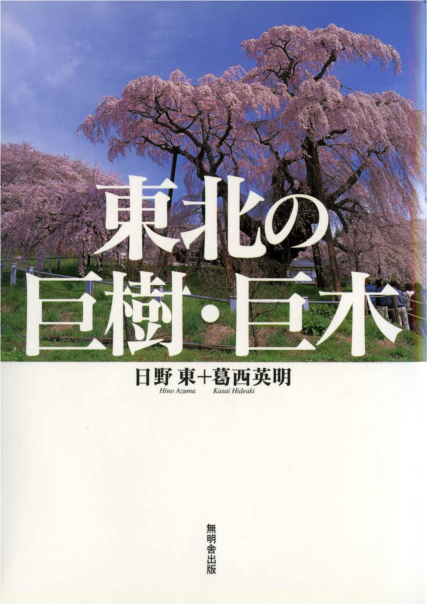 Giant Trees and Big Trees of Tohoku